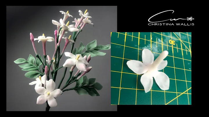 Sugar Jasmine Flower Tutorial,  No cutters / Free ...