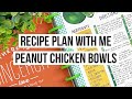 Recipe Plan With Me | Peanut Chicken Bowls | The Happy Planner Recipe Organizer