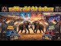 elephant horn dj competition//competition music//dj dinu