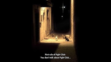 Spec Ops the Line   Rallypoint Breacher