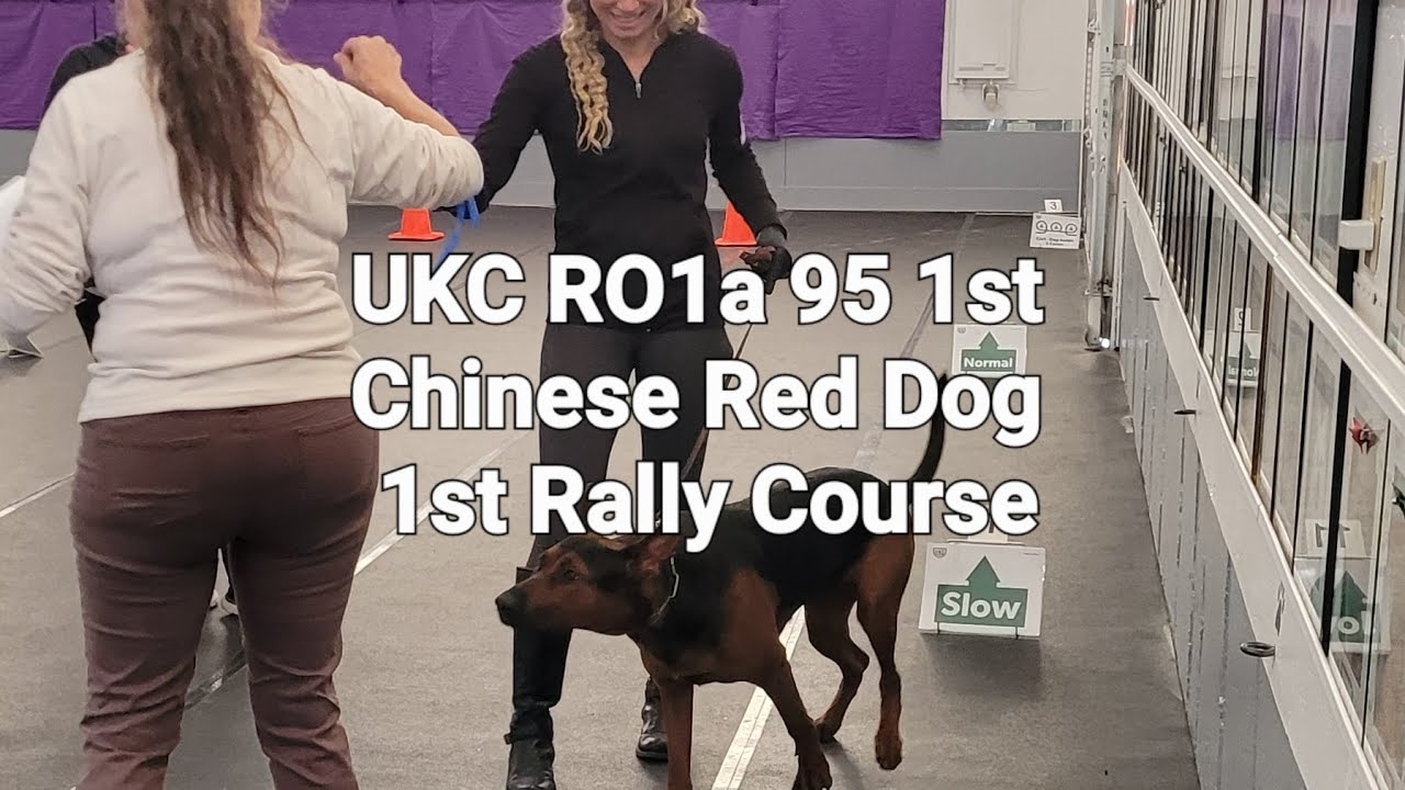 Rieka UKC Rally RO1 a - YouTube