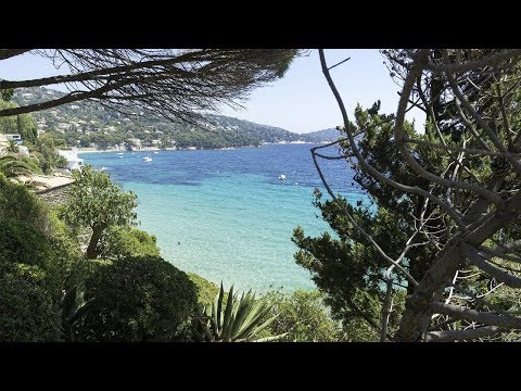 Video-thumbnail van Camping Les Mimosas