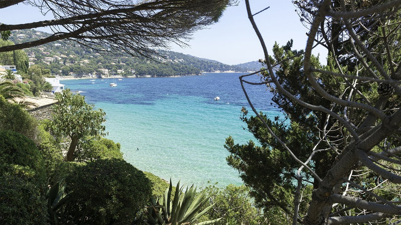 Camping Campéole Les Mimosas Camping Au Lavandou En Méditerranée Provence