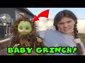 Baby Grinch Is Here! He Tried To Take Our Christmas Lights!
