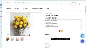 Part 5. Hướng dẫn quản lý sản phẩm gom nhóm trong Woocommerce 2022