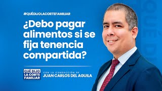 Qué dijo la corte familiar: ¿Debo pagar alimentos si se fija tenencia compartida?