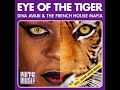 Diva avari  the french house mafia  eye of the tiger jamie lewis sex on the beach mix