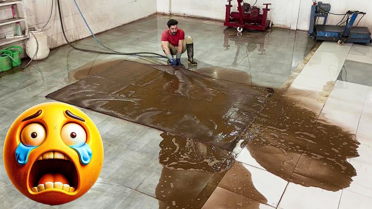 Чистка персидского ковра стоимостью в 1 миллион долларов: самая сложная задача!