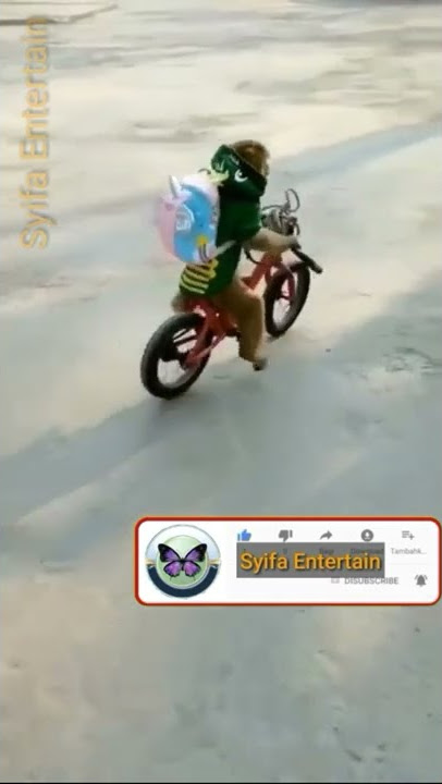 Monyet Naik Sepeda 😁- Monkey Riding A Bike- قرد يسوق الدراجة