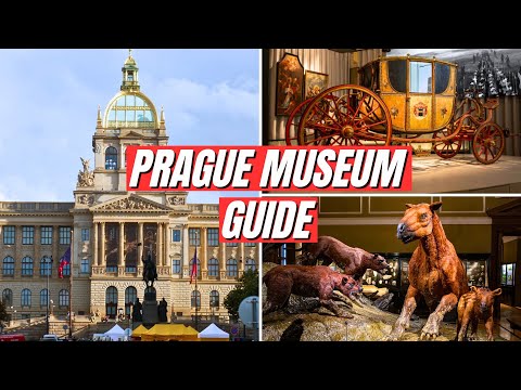 Video: Die beste 11 museums in Praag
