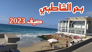 بحر الشاطبى | كازينو الشاطبى | كافيه نعنع