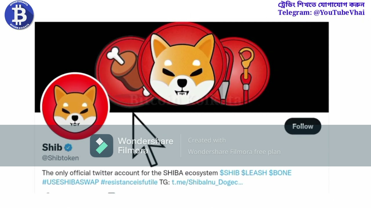 Shiba Inu Can Hit 0 10 YouTube shiba-inu-can-hit-0-10-youtube