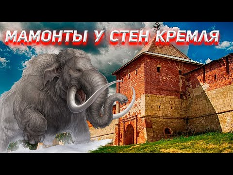 Боевой мамонт найден у стен Зарайского Кремля