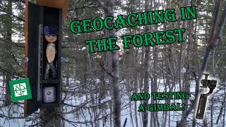 Geocaching with a lapphund! by Foss Dronefoto 143 views 2 years ago 3 minutes, 16 seconds