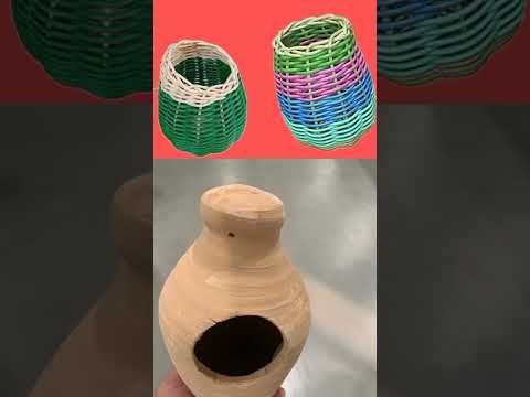 معلومات عن عصافير الزيبرا