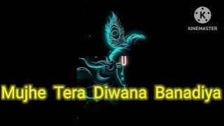 Mujhe Tera Diwana Banadiya :- Slowed & Reverb  { lofi bhajans 2.O }