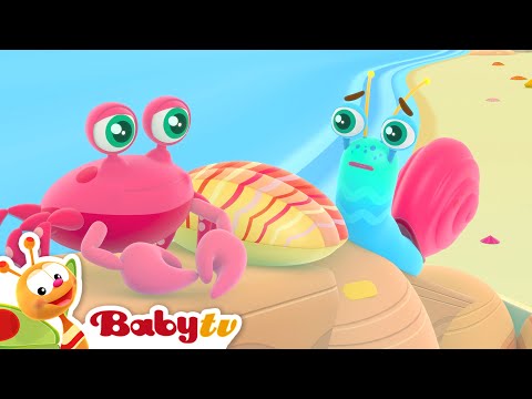 Oppdagelser ved Havet 🦀🐚 | Snegleturen @BabyTVNOR