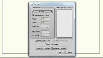 Anime Studio 9 Debut Tutorial - Project Settings