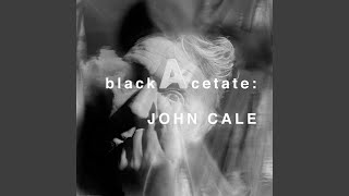 Video thumbnail of "John Cale - Perfect"