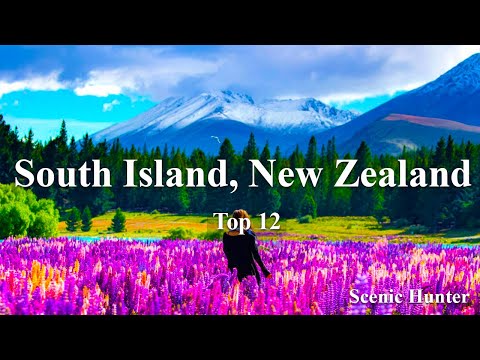 वीडियो: न्यूजीलैंड में सर्वश्रेष्ठ सड़क यात्राएं