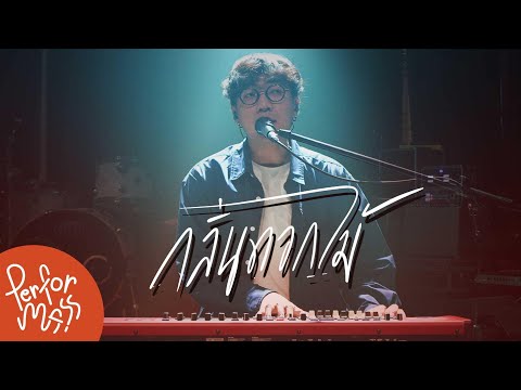 กลิ่นดอกไม้ - Newery  l Live session  @new.newery