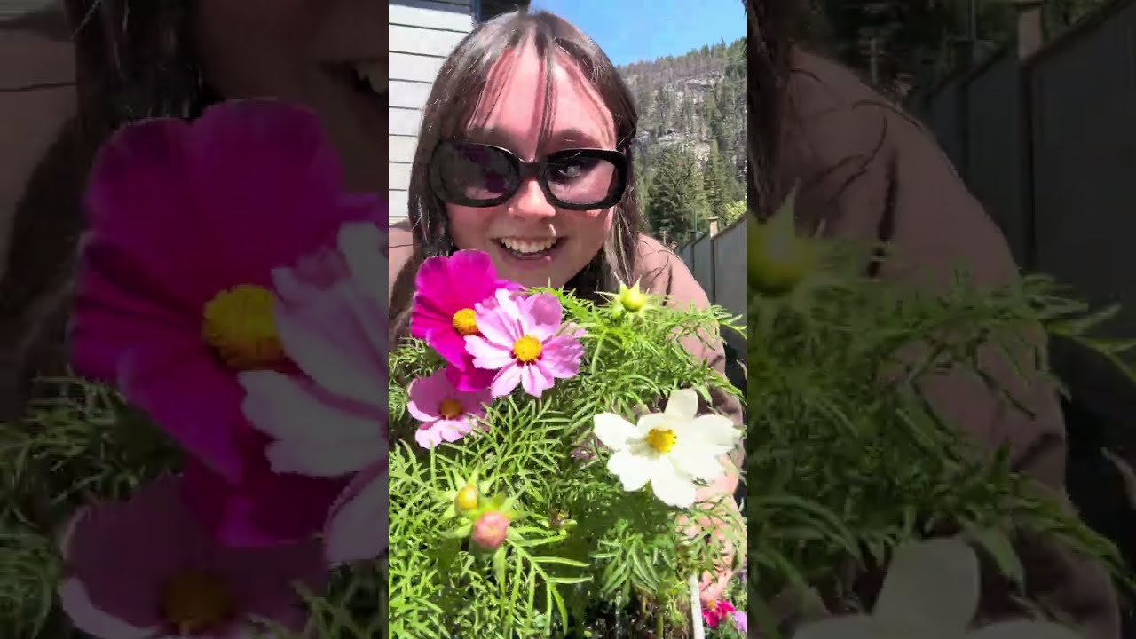 FIRST 2026 flower shop!! 🌸🪻🌼 - YouTube