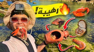 تحدي البقاء بدون معدات | رحلة البحث على فواكه البحر !