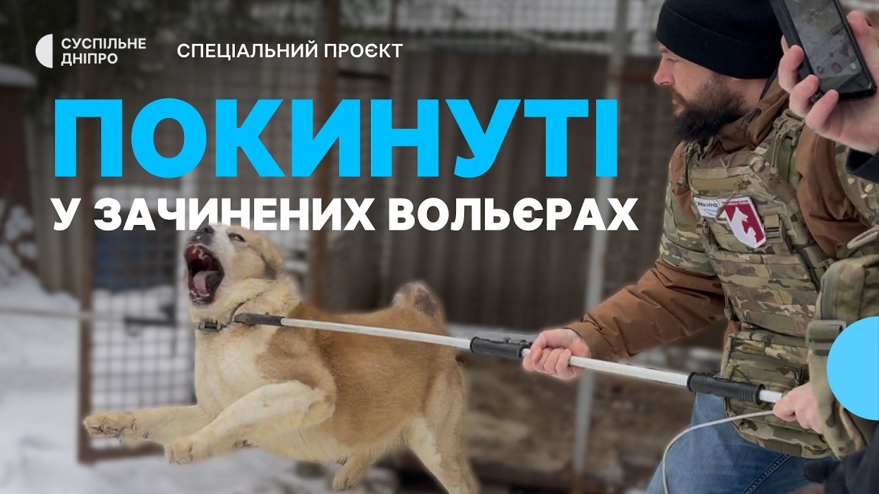 «Не всі тварини можуть дочекатись» Як зооволонтери з Дніпра вивозять тварин з прифронтових громад