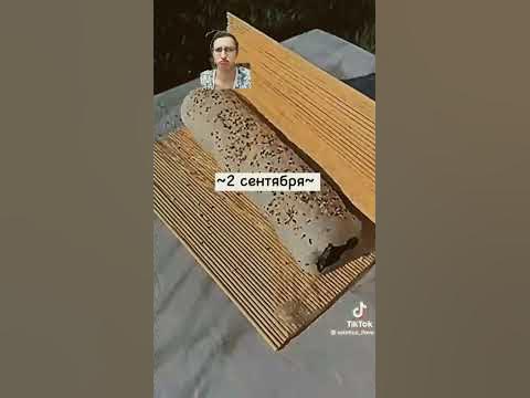 редкие дни рождения - YouTube