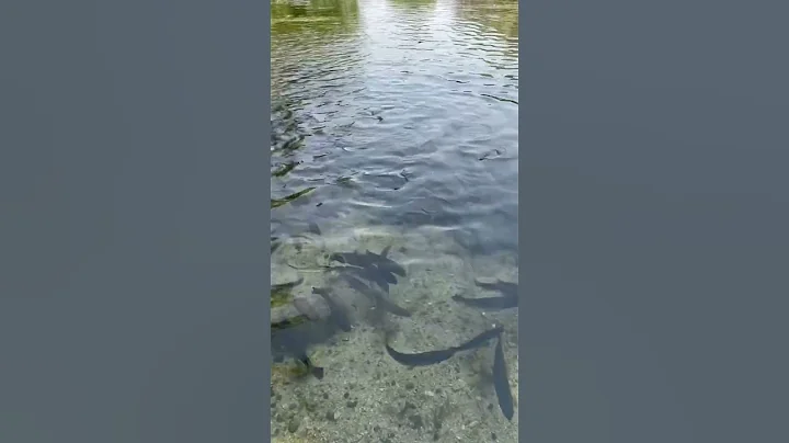 Mount Whitney Fish Hatchery