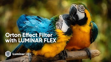Orton Effect Filter with Luminar Flex