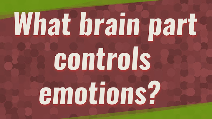 What part of the brain controls moods and emotional behavior