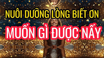 Nuôi Dưỡng Lòng Biết Ơn Thu Hút Tiền Bạc Khách Hàng Siêu Tốc I Sức Mạnh Tiềm Thức Luật Hấp Dẫn