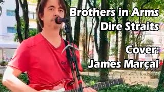 Brothers in Arms (Dire Straits) Cover: James Marçal #shorts