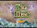 Pt. 1: Whitetail Deer Hunting Walkthrough: A Step by Step Guide.