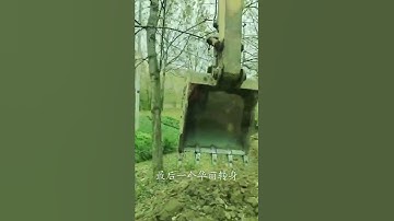 Awesome Excavator Operator Skills - Excavator Operator With Highly Precise Skills  EP46 #Shorts