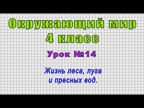 Окружающий мир 4 класс (Урок№14 - Жизнь леса, луга и пресных вод.)