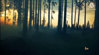 MY SADNESS  BY SERGEY GRISCHUK.