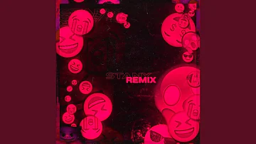 Stany Remix