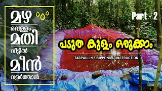 Fish Farming at Home Recycle Rain Water | How to start fish farming at home - Part 2 #travelbro