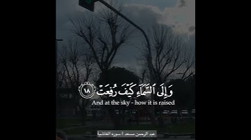 افلا ينظرون الى الابل كيف خلقت - بصوت عبد الرحمن مسعد سورة الغاشية