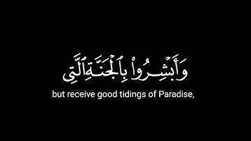 كروما شاشه سوداء القرآن الكريم 🥀| تلاوة من فصلت | قاري أحمد النفيس ✨