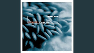 Memory-Trace