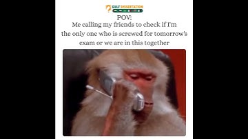 Simplify Your Academic Journey with GulfDissertation.com #memes #meme #funny #fun #foryou