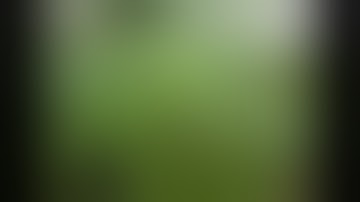 PLATINUM CANDY DAY 21 PART 2  DLI - WHAT IS DAILY LIGHT INTEGRAL?