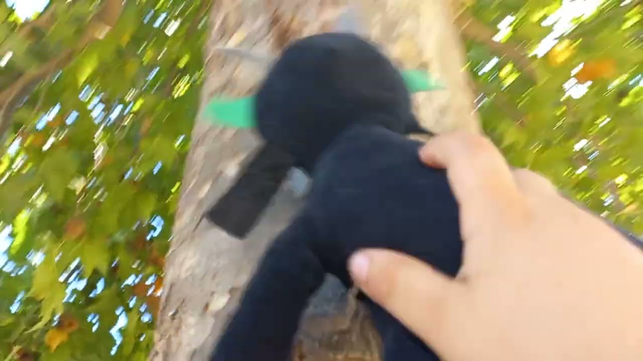 las aventuras de Sebita