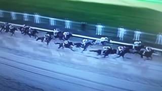 2017 kentucky derby  always dreaming
