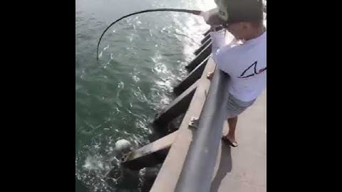 Amazing fishing skill||Try this you will Catching Fish Big||Youtube short||