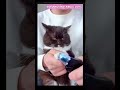 Cat Nail Clippers #nailclippers