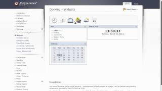 ASP.NET Docking Suite - An Introduction
